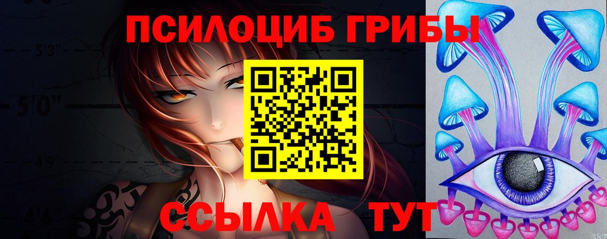 Новодвинск  где купить наркоту  Вход с VPN  Галлюциногенные грибы Magic Shrooms 